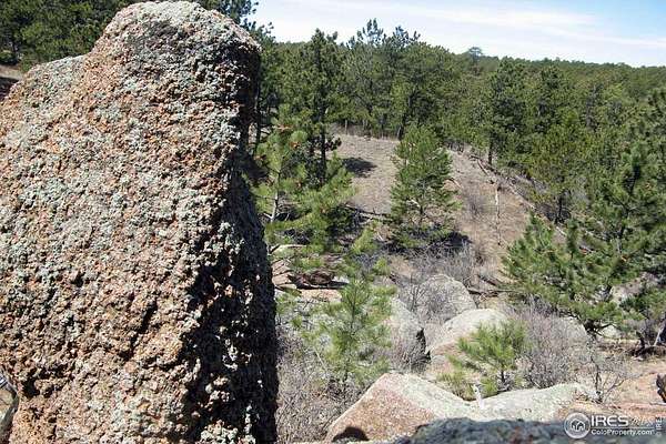 35 Acres of Land for Sale in Livermore, Colorado