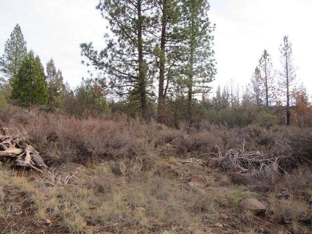 3.53 Acres of Land for Sale in Bonanza, Oregon