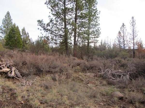 3.53 Acres of Residential Land for Sale in Bonanza, Oregon
