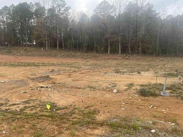 0.24 Acres of Residential Land for Sale in Alexander, Arkansas