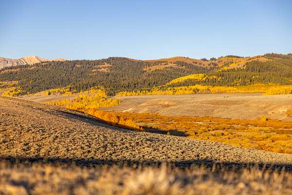 320 Acres of Recreational Land for Sale in Big Piney, Wyoming