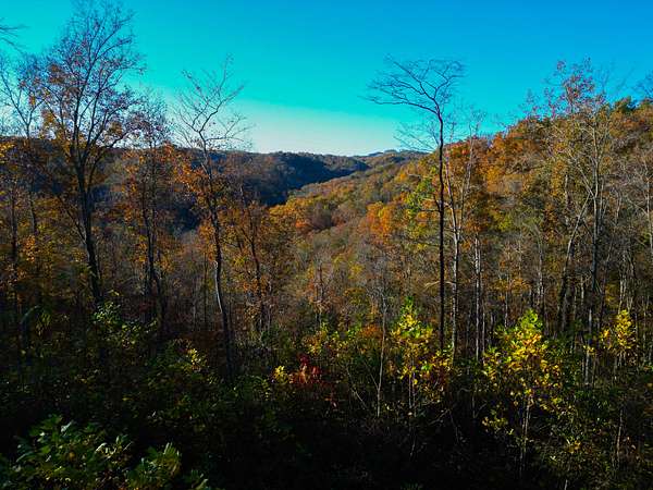 1.12 Acres of Residential Land for Sale in Celina, Tennessee