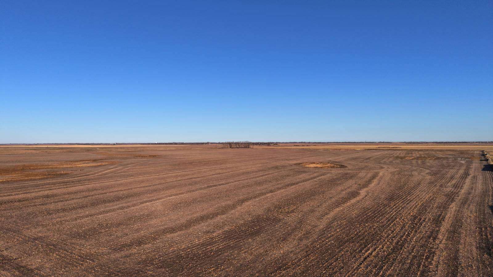 52 Acres of Agricultural Land for Auction in Langford, South Dakota