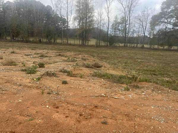 0.24 Acres of Residential Land for Sale in Alexander, Arkansas