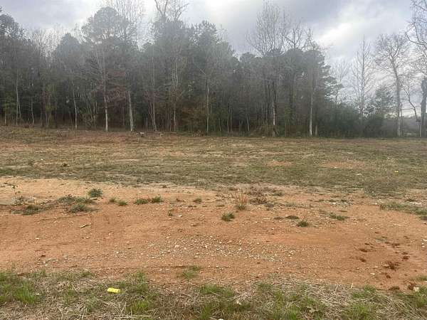 0.24 Acres of Residential Land for Sale in Alexander, Arkansas