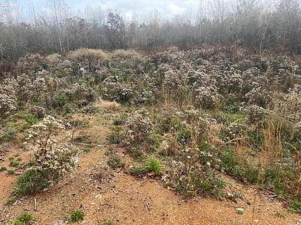 0.24 Acres of Residential Land for Sale in Alexander, Arkansas