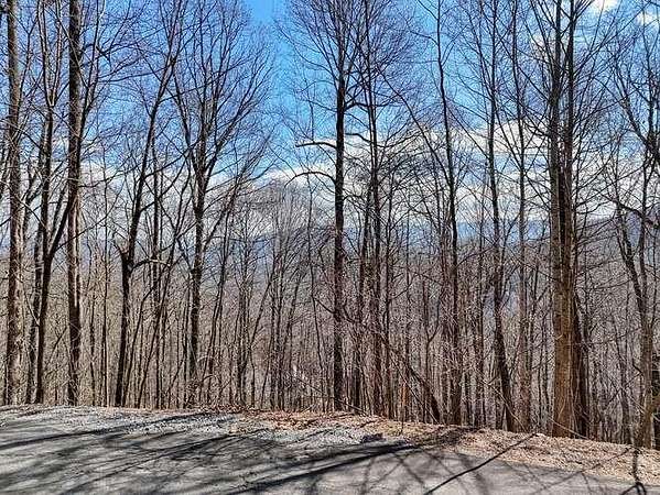 1 Acre of Land for Sale in Young Harris, Georgia