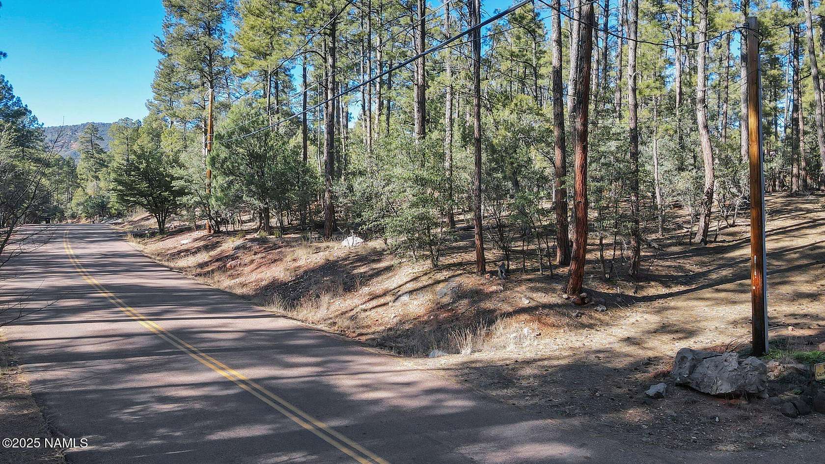 0.49 Acres of Residential Land for Sale in Pine, Arizona