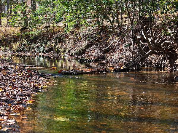 78.8 Acres of Recreational Land for Sale in Powhatan, Virginia