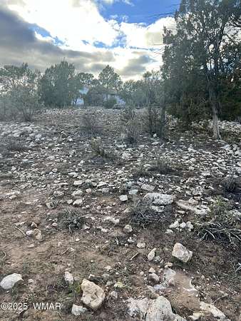 0.3 Acres of Residential Land for Sale in Overgaard, Arizona