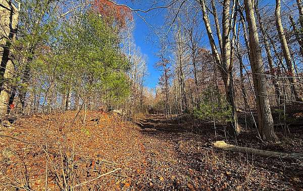 14 Acres of Recreational Land for Sale in Waverly, Ohio