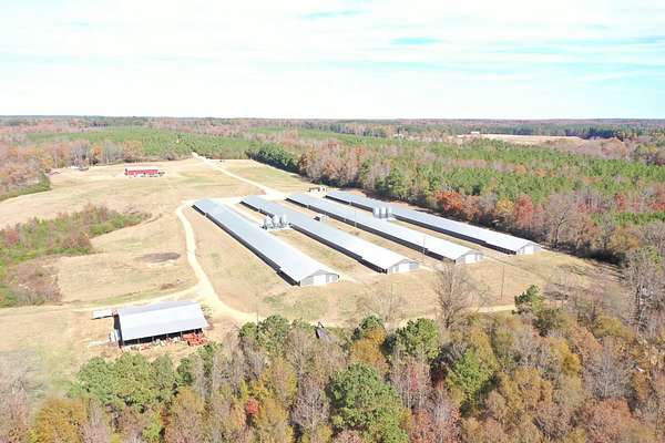 50 Acres of Agricultural Land with Home for Sale in Jasper, Alabama
