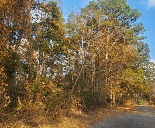 1.4 Acres of Residential Land for Sale in Roanoke, Alabama