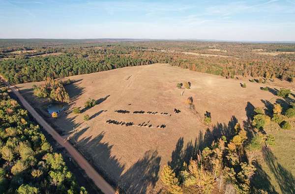 1,114 Acres of Land for Sale in Fort Towson, Oklahoma