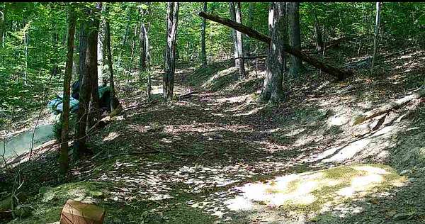 4.5 Acres of Land for Sale in Piketon, Ohio
