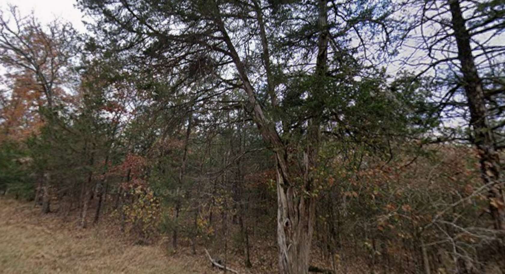 0.22 Acres of Residential Land for Sale in Diamond City, Arkansas