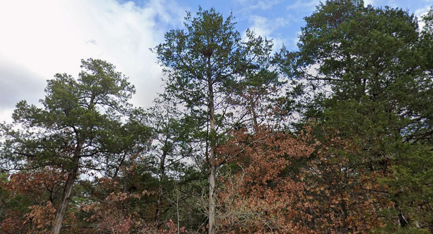 0.22 Acres of Residential Land for Sale in Diamond City, Arkansas