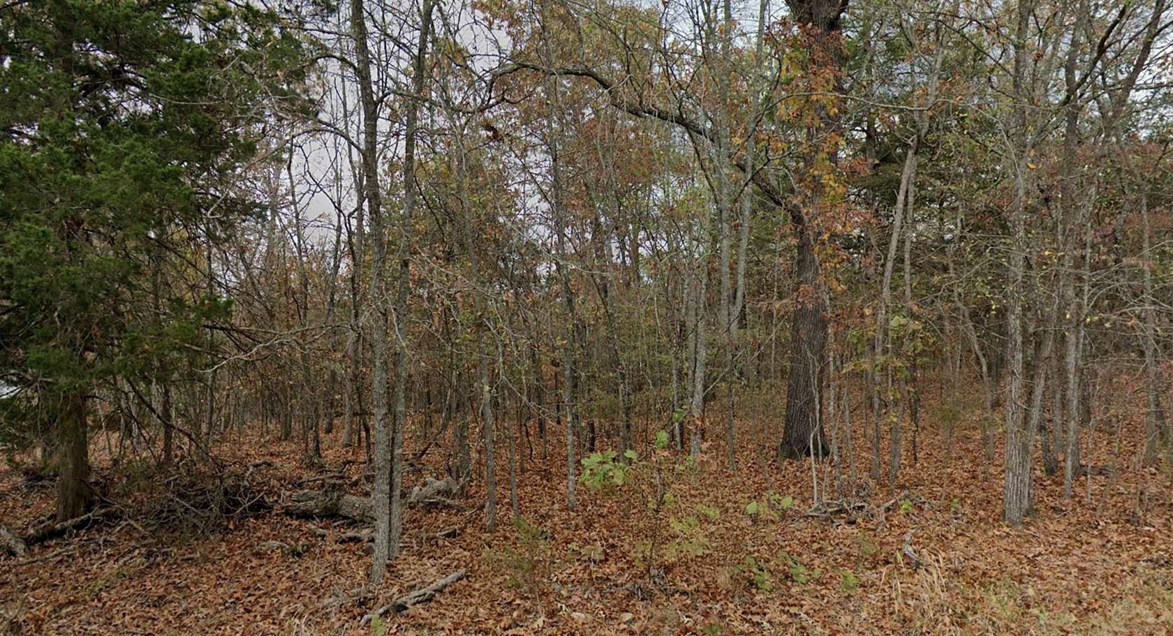 0.22 Acres of Residential Land for Sale in Diamond City, Arkansas