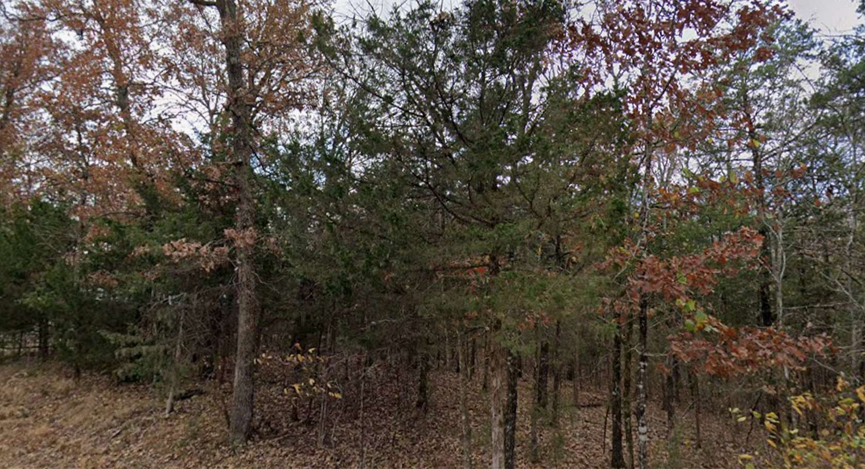 0.22 Acres of Residential Land for Sale in Diamond City, Arkansas