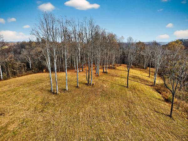 51.3 Acres of Land for Sale in Gainesboro, Tennessee