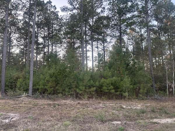 11.2 Acres of Land for Sale in Williston, South Carolina