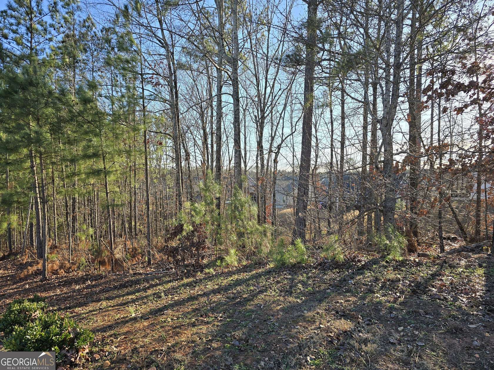 Residential Land for Sale in Winston, Georgia