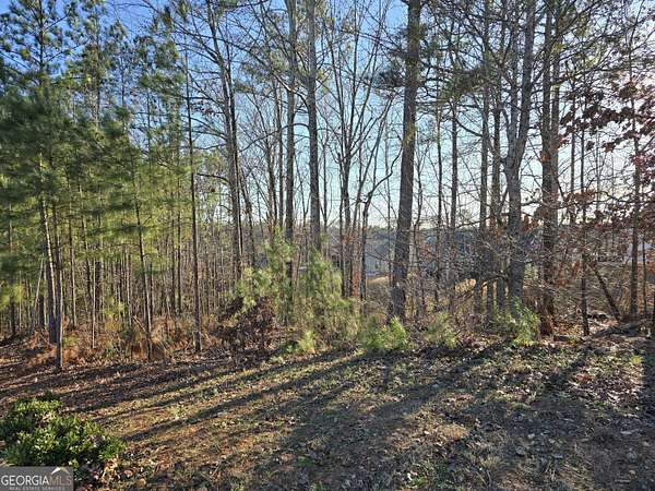 Residential Land for Sale in Winston, Georgia