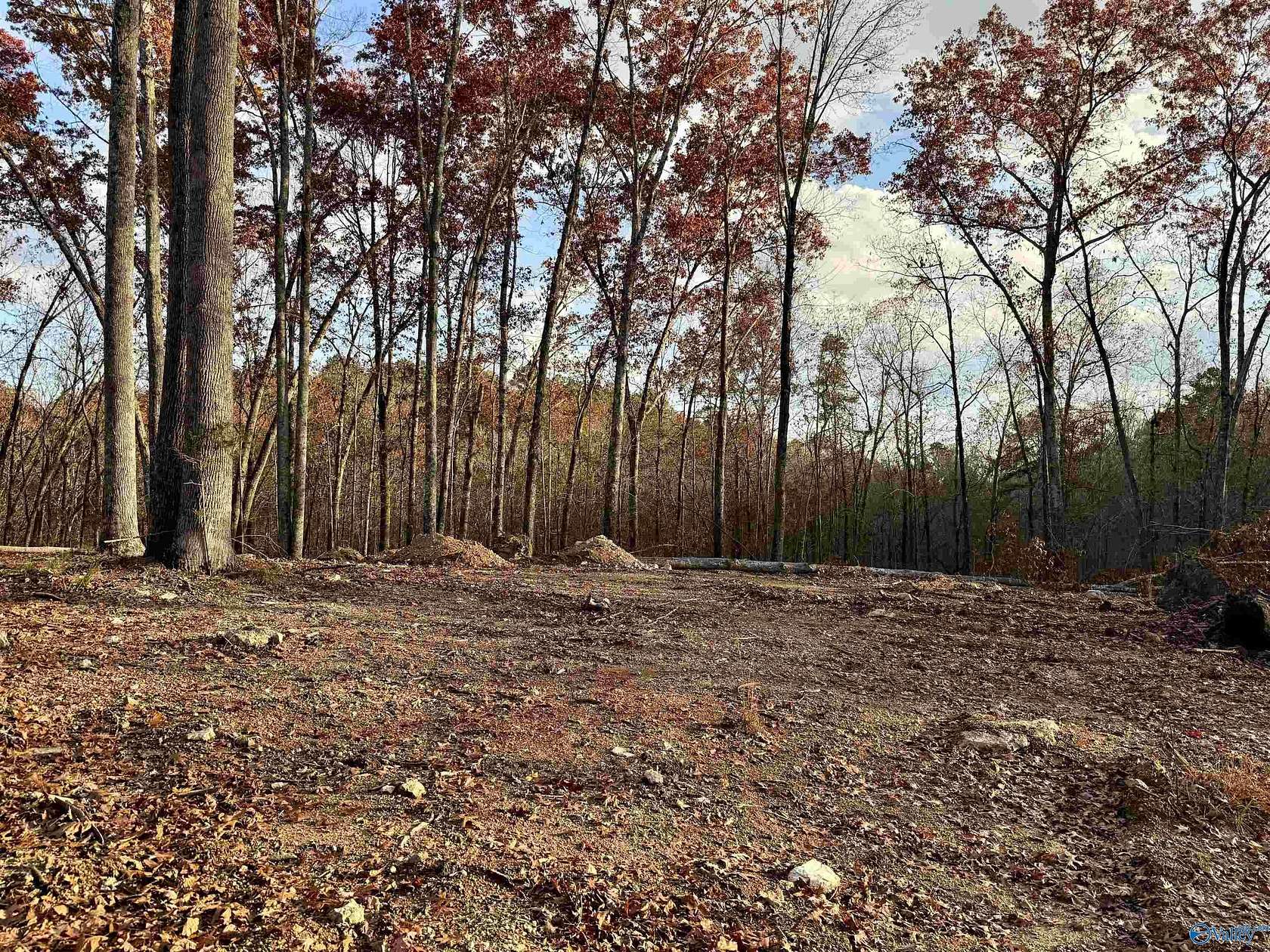 10 Acres of Recreational & Residential Land for Sale in Cedar Bluff, Alabama