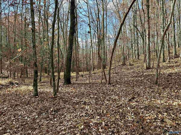 10 Acres of Recreational Land for Sale in Cedar Bluff, Alabama