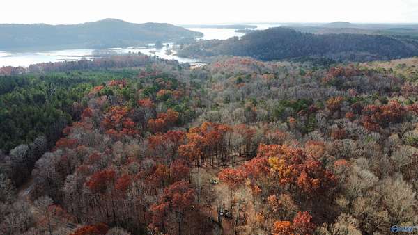 10 Acres of Recreational & Residential Land for Sale in Cedar Bluff, Alabama