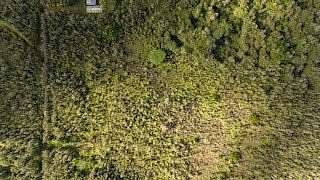 3 Acres of Residential Land for Sale in Mountain View, Hawaii