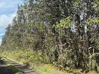 3 Acres of Residential Land for Sale in Mountain View, Hawaii