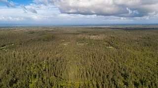 3 Acres of Land for Sale in Mountain View, Hawaii