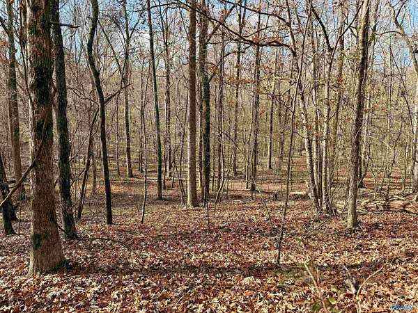 10 Acres of Recreational Land for Sale in Cedar Bluff, Alabama
