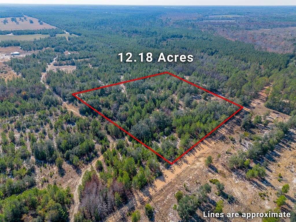 12.2 Acres of Land for Sale in Nicholls, Georgia