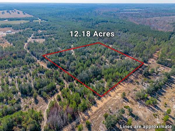 12.2 Acres of Land for Sale in Nicholls, Georgia