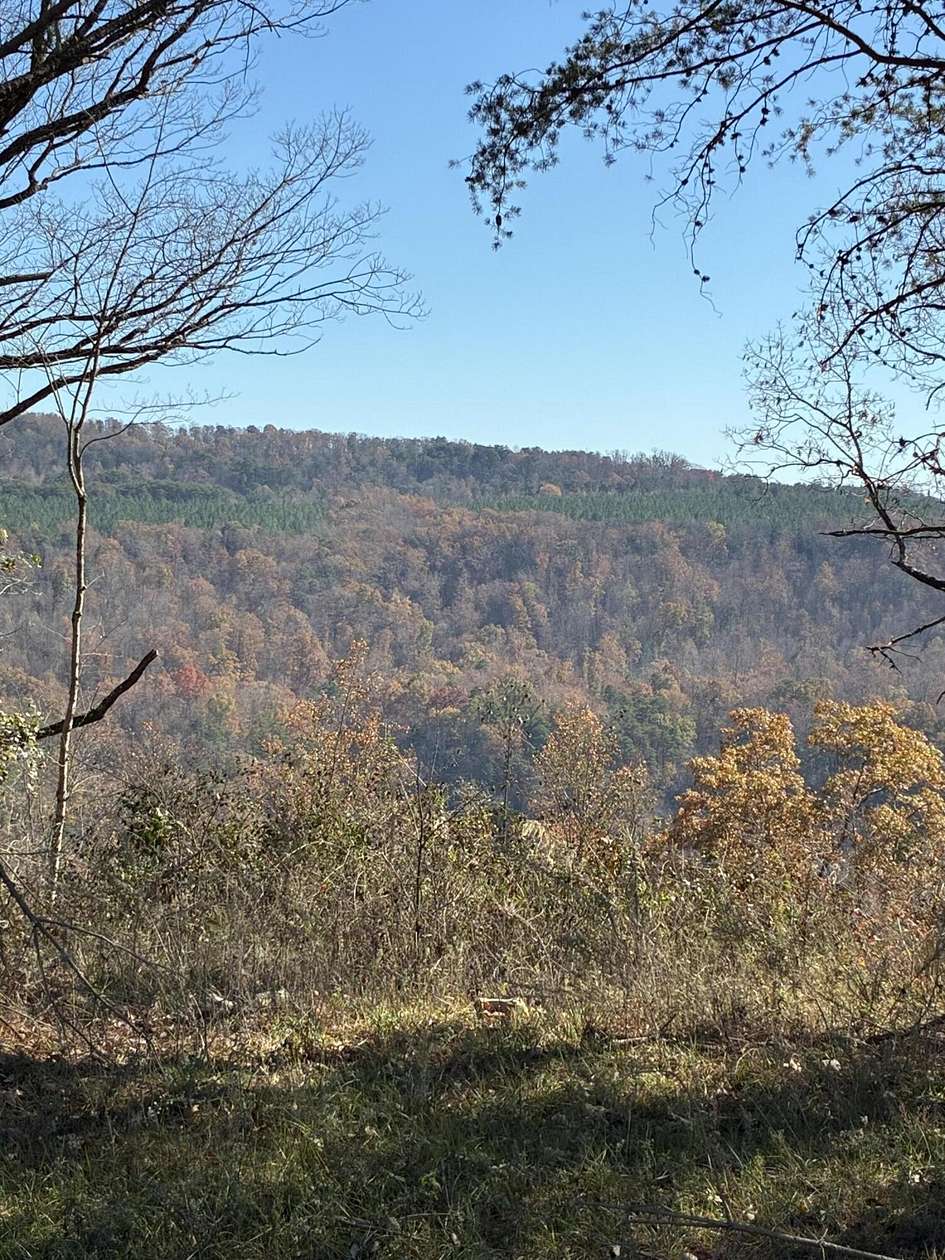 1.39 Acres of Residential Land for Sale in Haletown, Tennessee