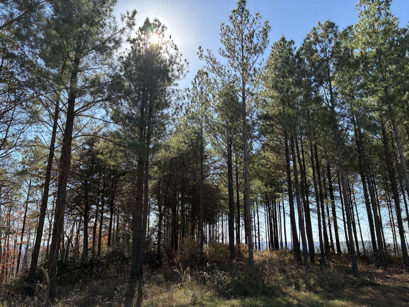 1.39 Acres of Residential Land for Sale in Haletown, Tennessee