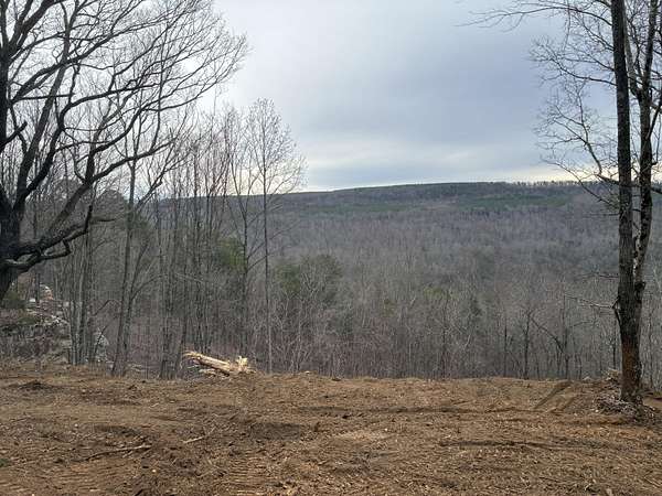 1.39 Acres of Residential Land for Sale in Haletown, Tennessee