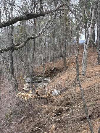 1.39 Acres of Residential Land for Sale in Haletown, Tennessee