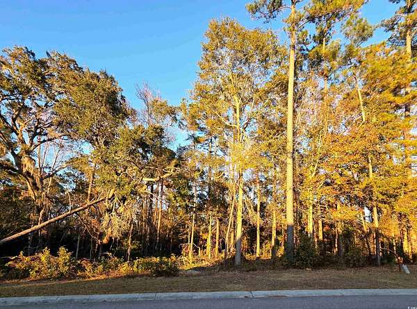 1.32 Acres of Residential Land for Sale in Conway, South Carolina