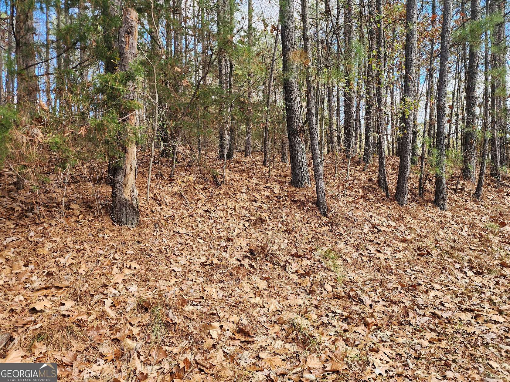 2.45 Acres of Commercial Land for Sale in Loganville, Georgia
