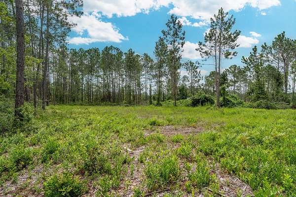 1.67 Acres of Residential Land for Sale in Willacoochee, Georgia