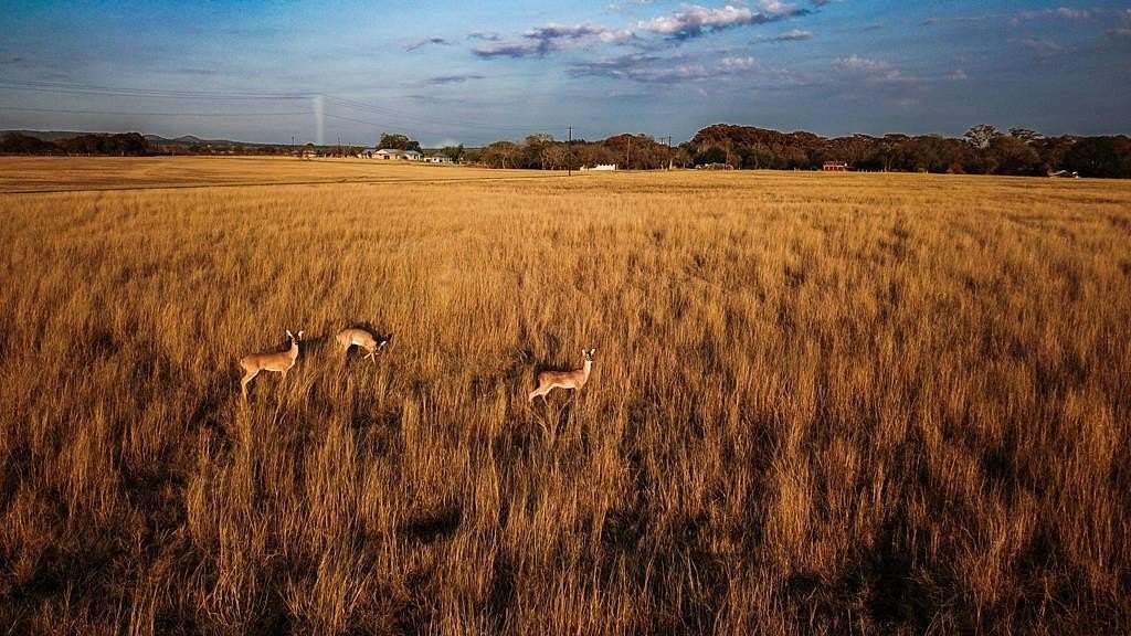 39.3 Acres of Land for Sale in Center Point, Texas