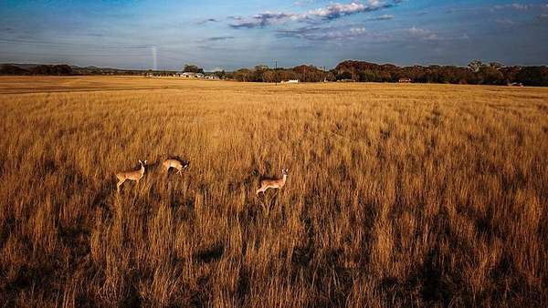 39.3 Acres of Land for Sale in Center Point, Texas