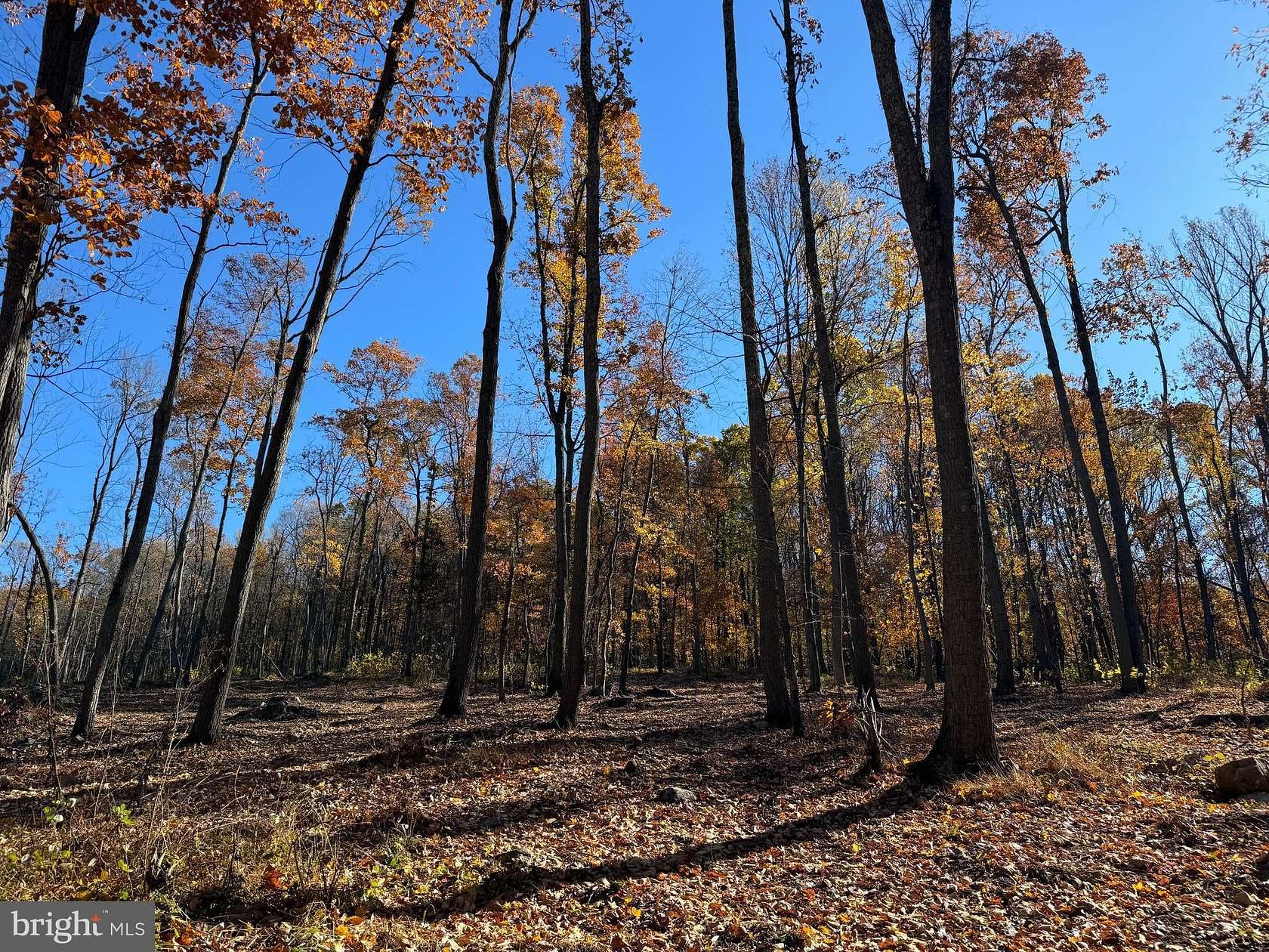 38.1 Acres of Recreational Land for Sale in Purcellville, Virginia