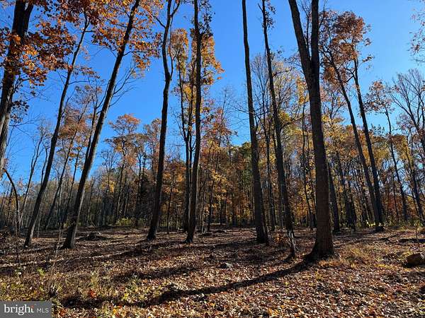 38.1 Acres of Recreational Land for Sale in Purcellville, Virginia