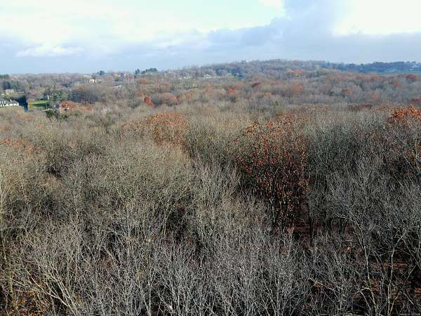 29.4 Acres of Recreational Land for Sale in Middletown, Connecticut