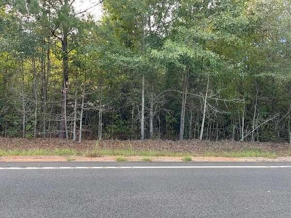 6 Acres of Land for Sale in Manning, South Carolina
