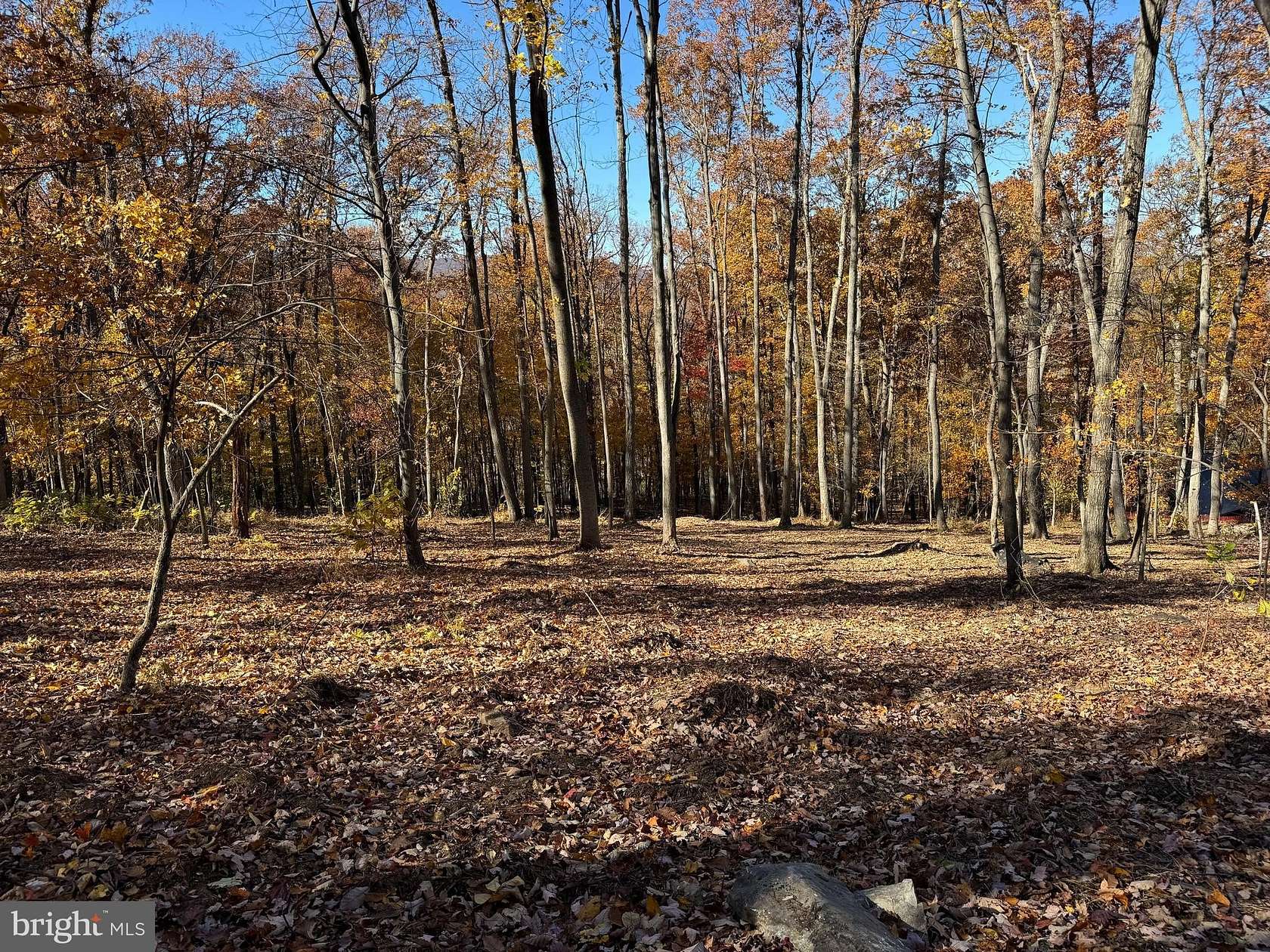 2.72 Acres of Residential Land for Sale in Purcellville, Virginia